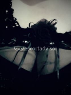 Escort 3203846916