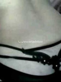 Escort 3204737002