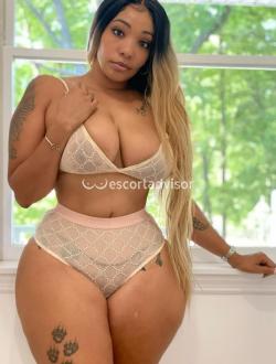Escort 3246029481