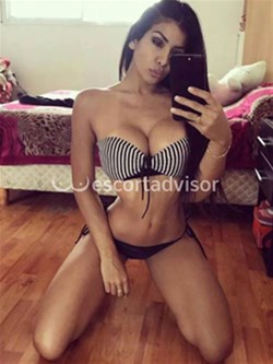 Escort 3249275657
