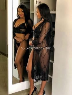 Escort 3272319244