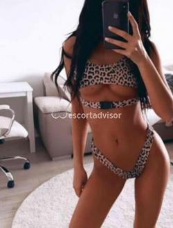 Escort 3272630081