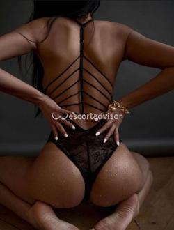 Escort 3273210305