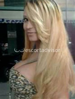 Trans 3273968944