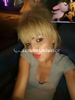 Escort 3275838262