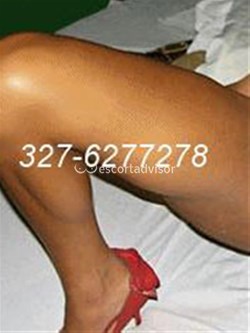 Trans 3276277278