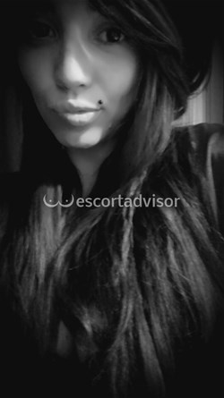 Escort 3277036407