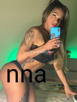 Trans 3277806437