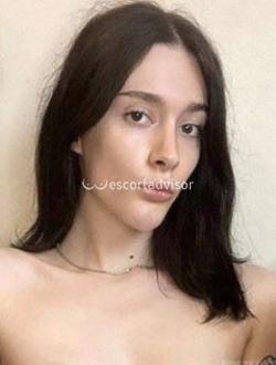 Trans 3282036225