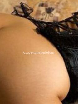 Escort 3294364152