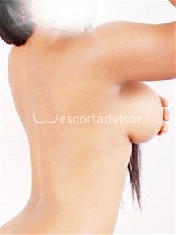 Escort 3296570554