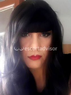 Trans 3299891458