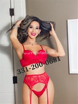 Trans 3312000681
