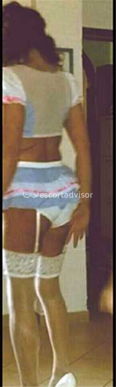Escort 3312006512