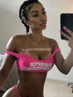 Escort 3313990000