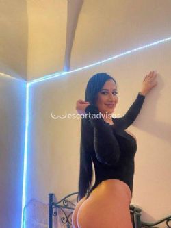 Escort 3331114438