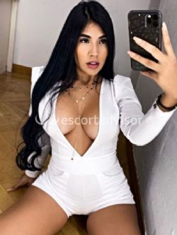 Escort 3331129191