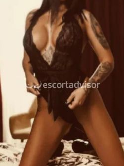 Escort 3332227497