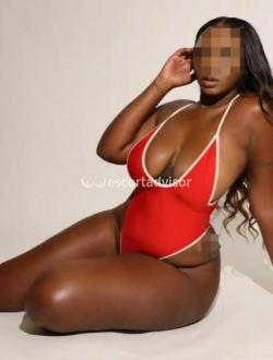 Escort 3333336651