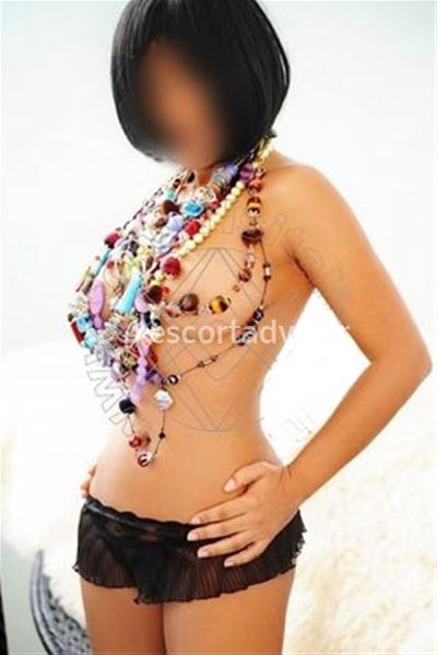 Escort 3335221341
