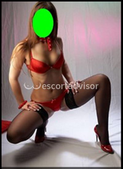 Escort 3381050086