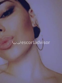 Escort 3388264645