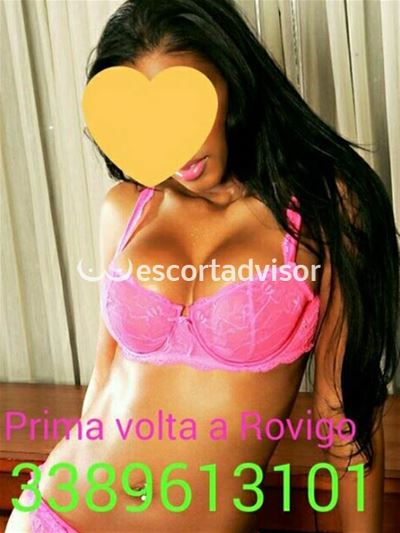 Escort 3389613101