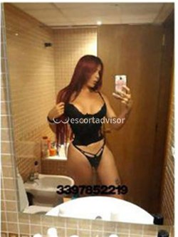 Trans 3397852219
