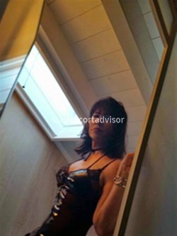 Trans 3406160802