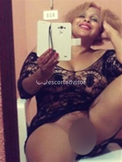 Escort 3408100261