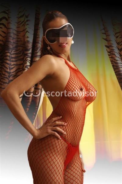 Escort 3409565813