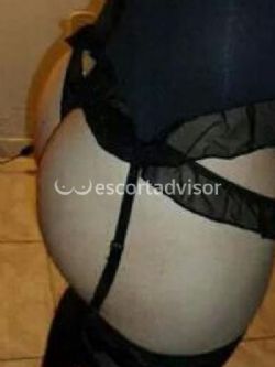 Trans 3427526115