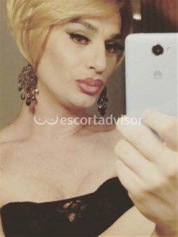 Trans 3441672261