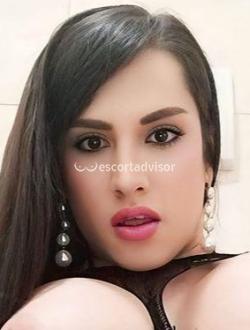 Trans 3444376590