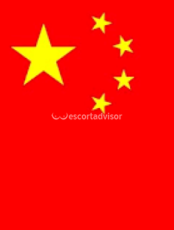 Escort 3447034028
