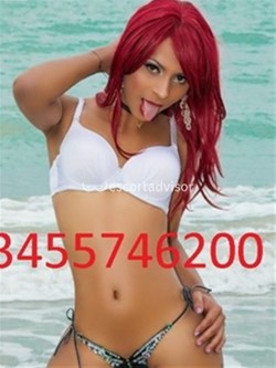Trans 3455746200