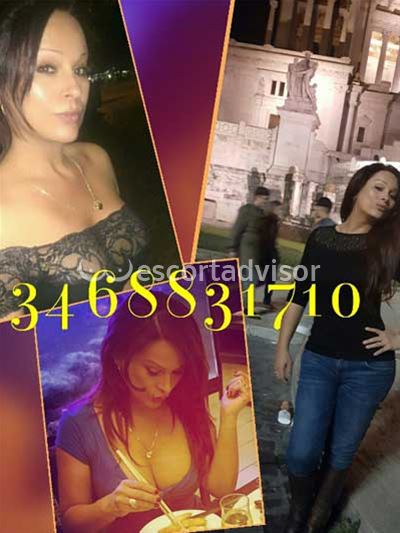 Trans 346883170