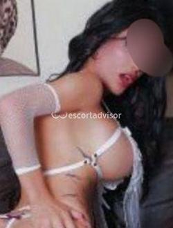 Trans 3472958557