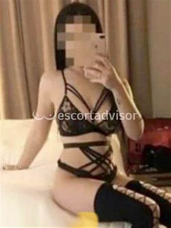 Escort 3473746554