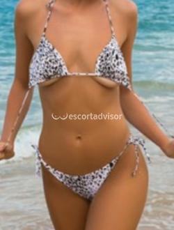 Escort 3474000098