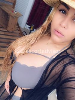 Escort 3477270629