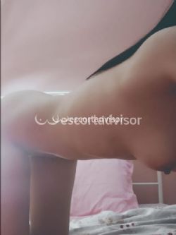 Escort 3478871983