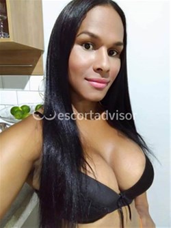 Trans 3479704203