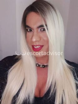 Trans 3479963885