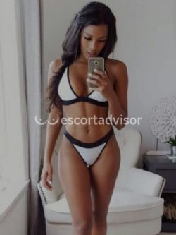 Escort 3483165899