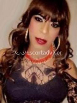 Trans 3485125880