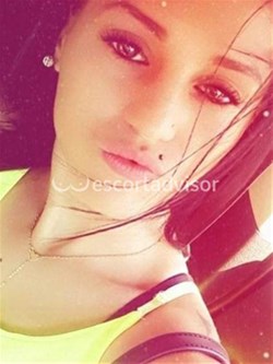 Escort 3487508064