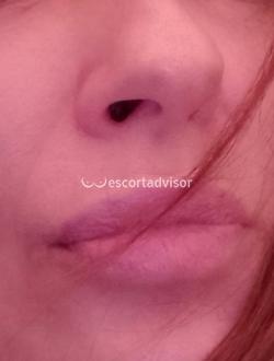 Escort 3501634499