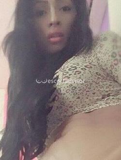 Trans 3508134042