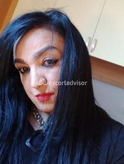 Escort 3509051961